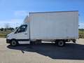 Mercedes-Benz Sprinter T43/35 311 CDI Cabinato Executive cassa 8 bancali Bianco - thumbnail 10