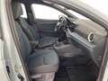 SEAT Ibiza Style Edition 1.0 TSI 95PS Grau - thumbnail 10
