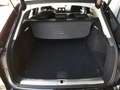 Audi A4 Avant S-LINE 40 TDI S-tr. *SKY / VOLL LED / NAVI / ACC / VIRTUELL PLUS / OPTIKPAKT SCHWARZ / E-KLAPPE* Schwarz - thumbnail 13