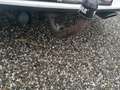 Kia Ceed / cee'd cee'd 1,4 MPI Silber Plus Silber Plus Weiß - thumbnail 8