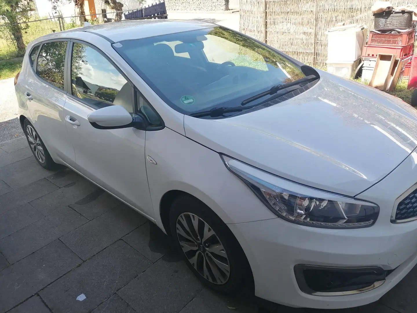 Kia Ceed / cee'd cee'd 1,4 MPI Silber Plus Silber Plus Weiß - 2