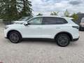 Volkswagen Tiguan der Neue Life eTSi Seitenairbag hinten Weiß - thumbnail 4