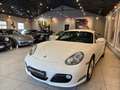 Porsche Cayman 2.9 265ch PDK7 Weiß - thumbnail 14
