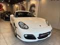 Porsche Cayman 2.9 265ch PDK7 Weiß - thumbnail 17