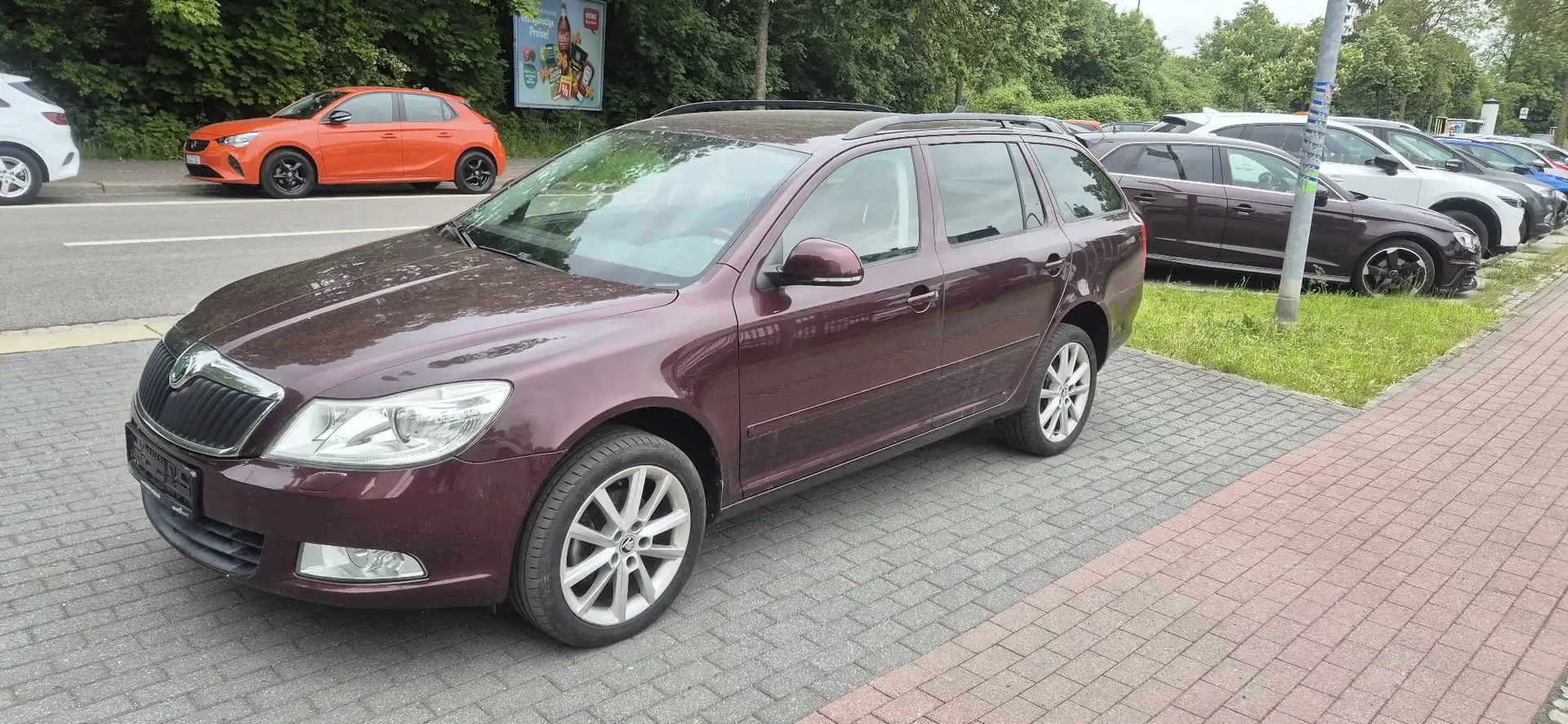 Skoda Octavia Elegance 4X4 Rot - 1