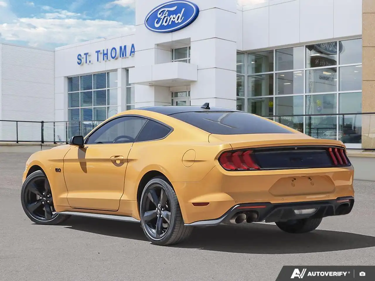Ford Mustang fotografie Ford Mustang