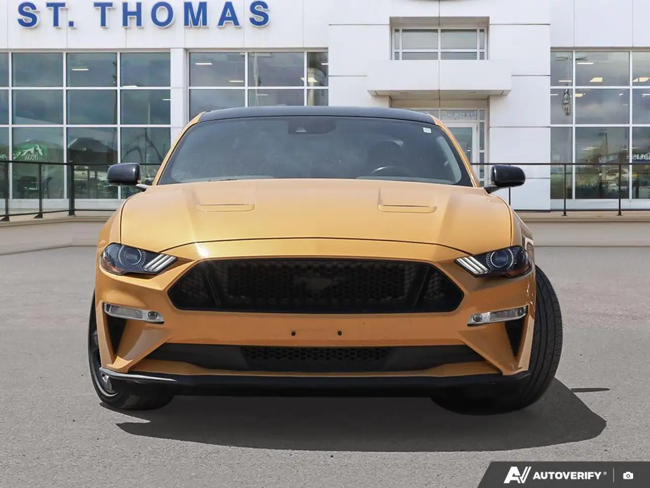 Ford Mustang fotografie Ford Mustang