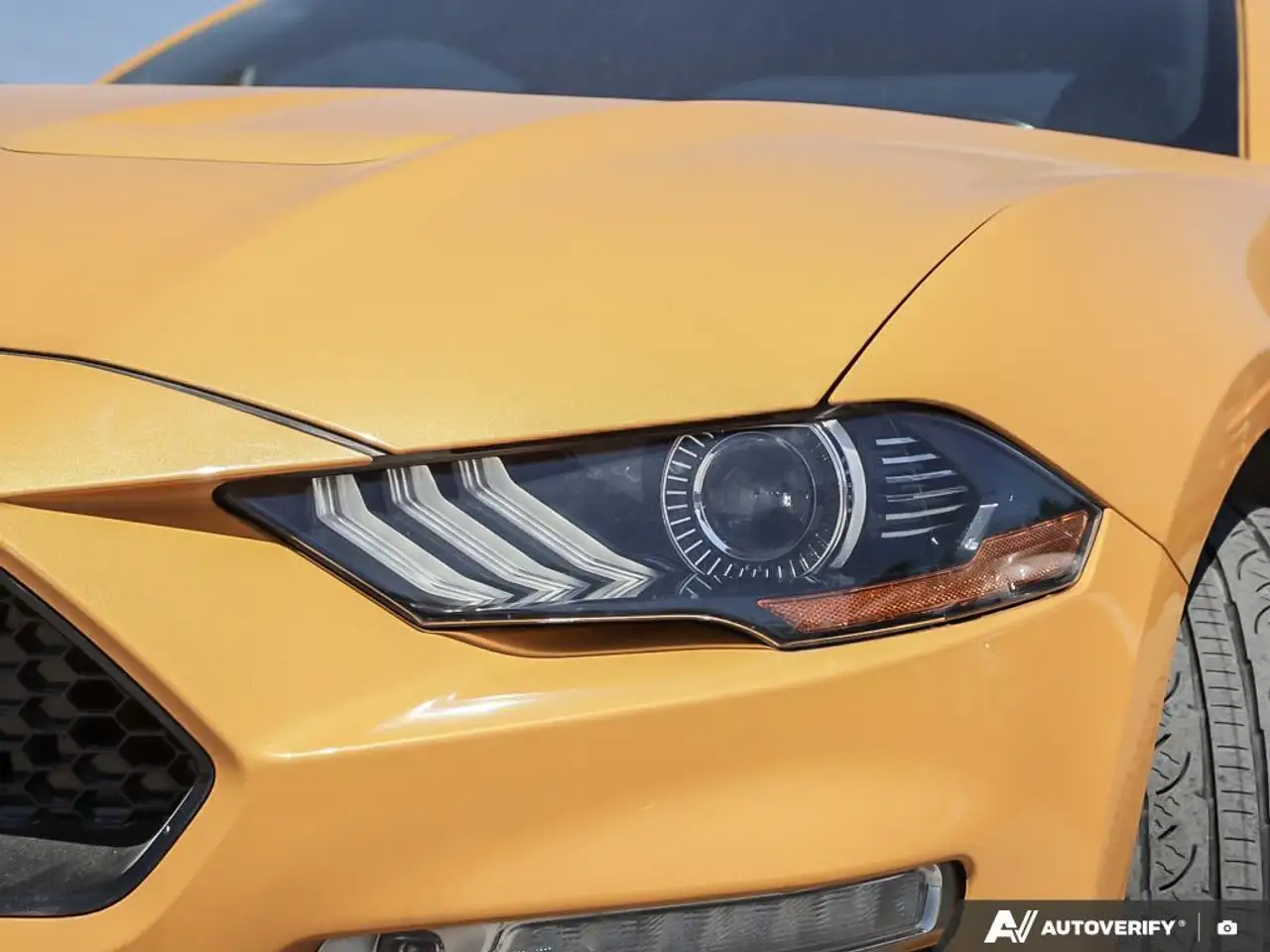 Ford Mustang fotografie Ford Mustang