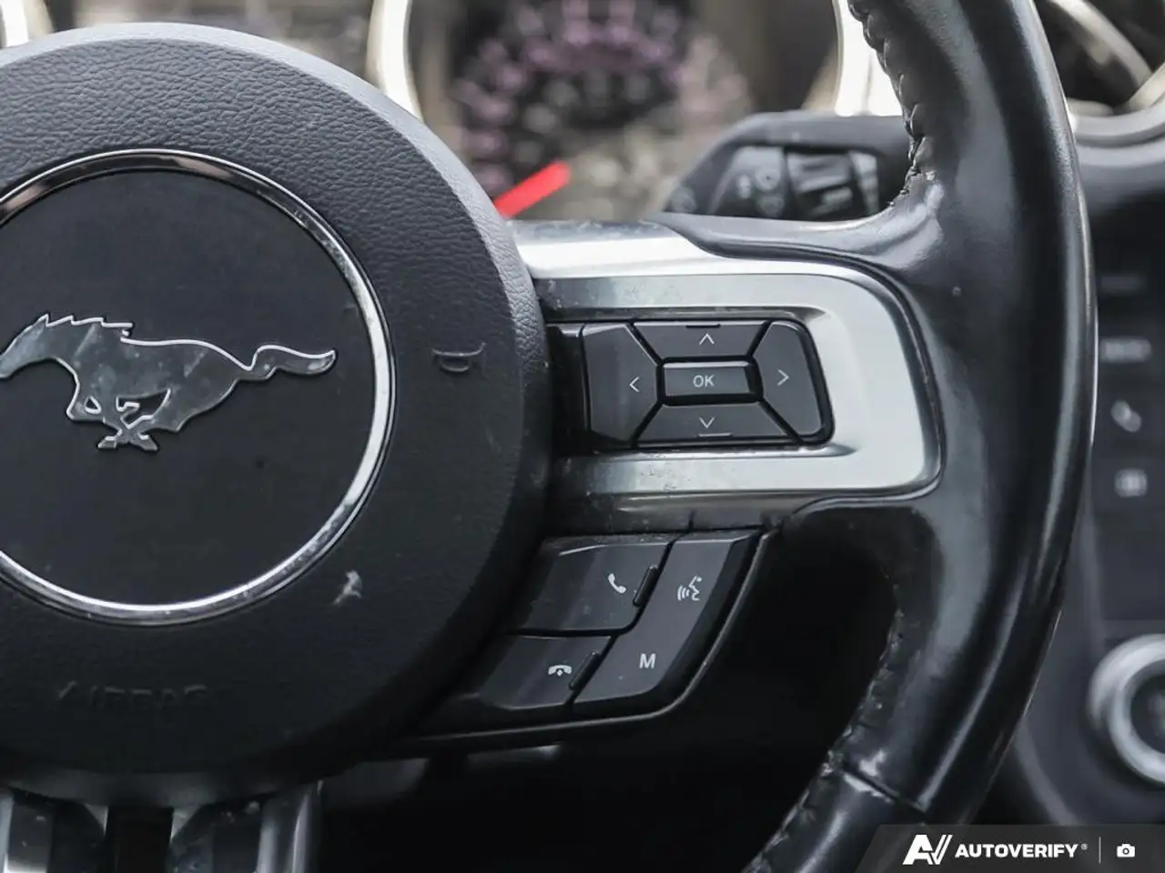 Ford Mustang fotografie Ford Mustang