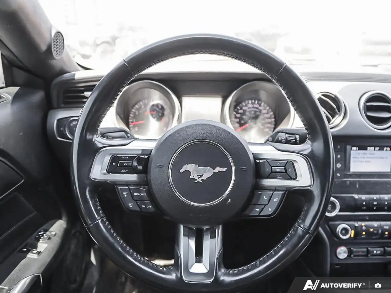 Ford Mustang fotografie Ford Mustang