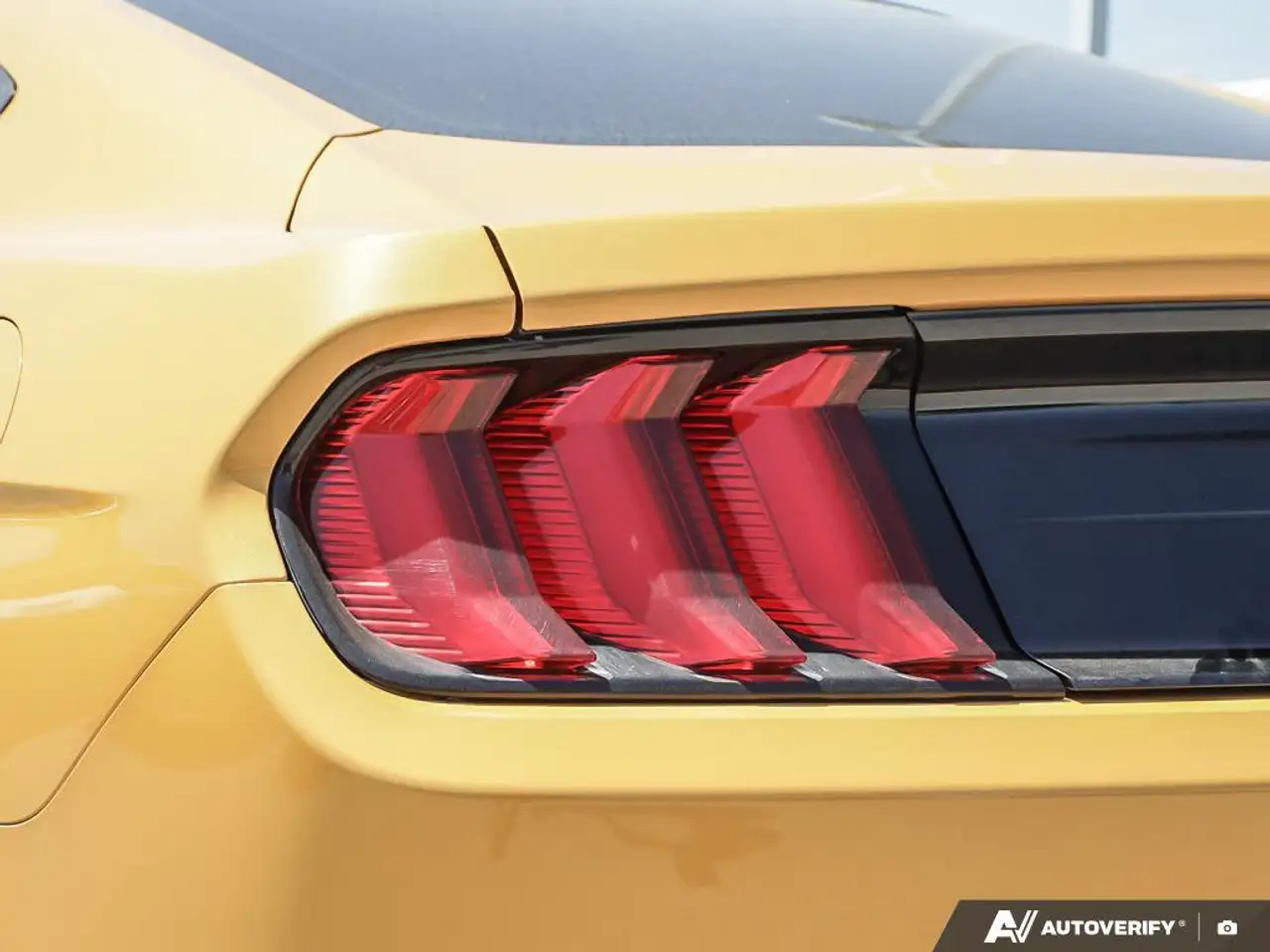 Ford Mustang fotografie Ford Mustang