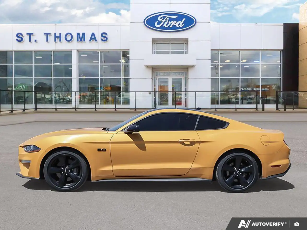 Ford Mustang fotografie Ford Mustang