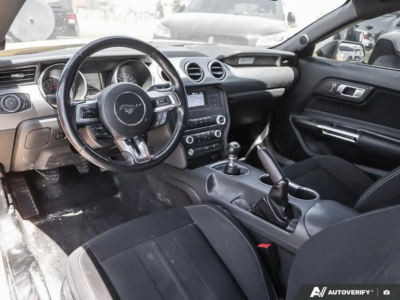 Ford Mustang fotografie Ford Mustang