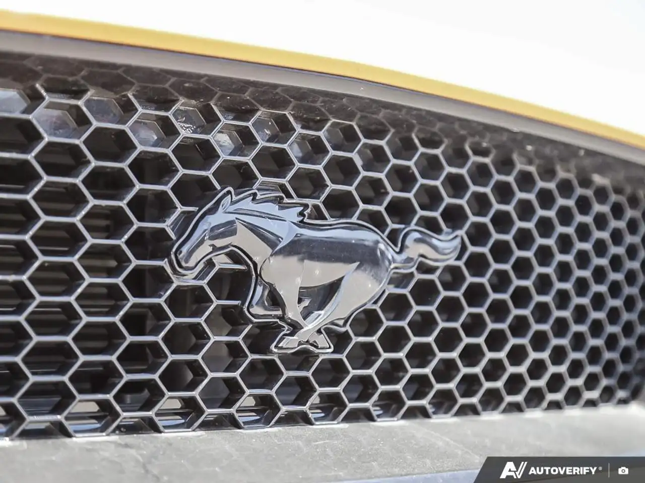 Ford Mustang fotografie Ford Mustang