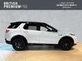 Land Rover Discovery Sport Dynamic SE AWD 2.0 D165 Mild-Hybrid EU6d Meridian Weiß - thumbnail 6