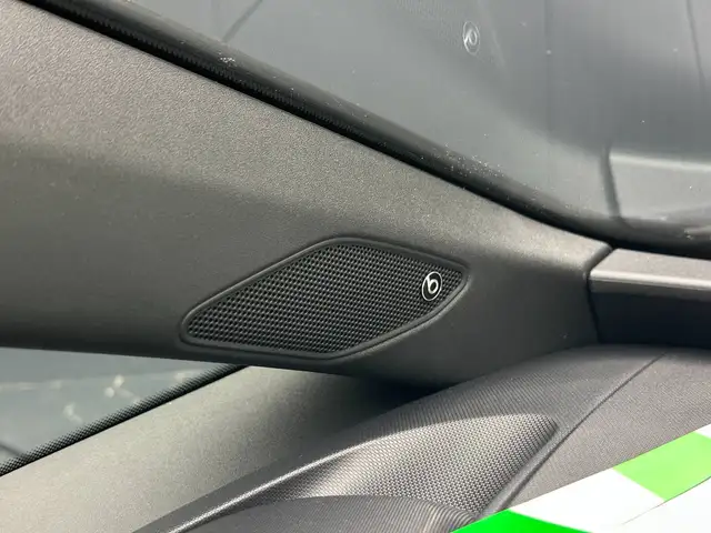 Cupra Born view 10