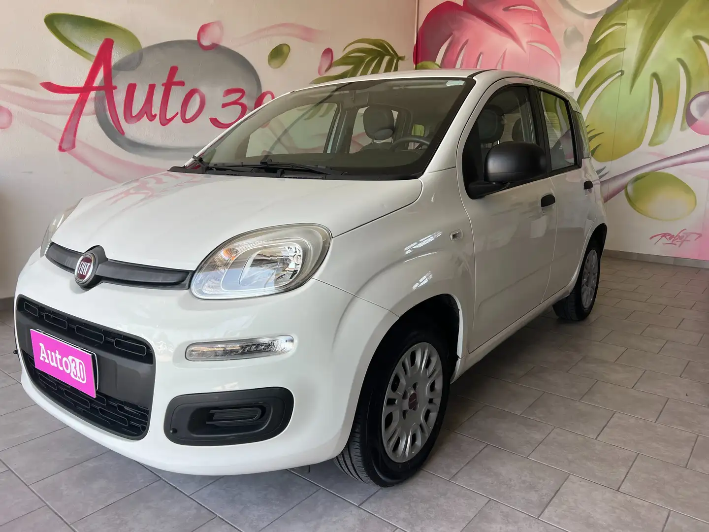 Fiat Panda Panda III 2016 1.2 Easy s Wit - 1