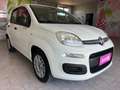 Fiat Panda Panda III 2016 1.2 Easy s Wit - thumbnail 4
