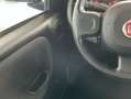 Fiat Panda City Cross 1.0 Gse 51kw (70CV) Azul - thumbnail 18