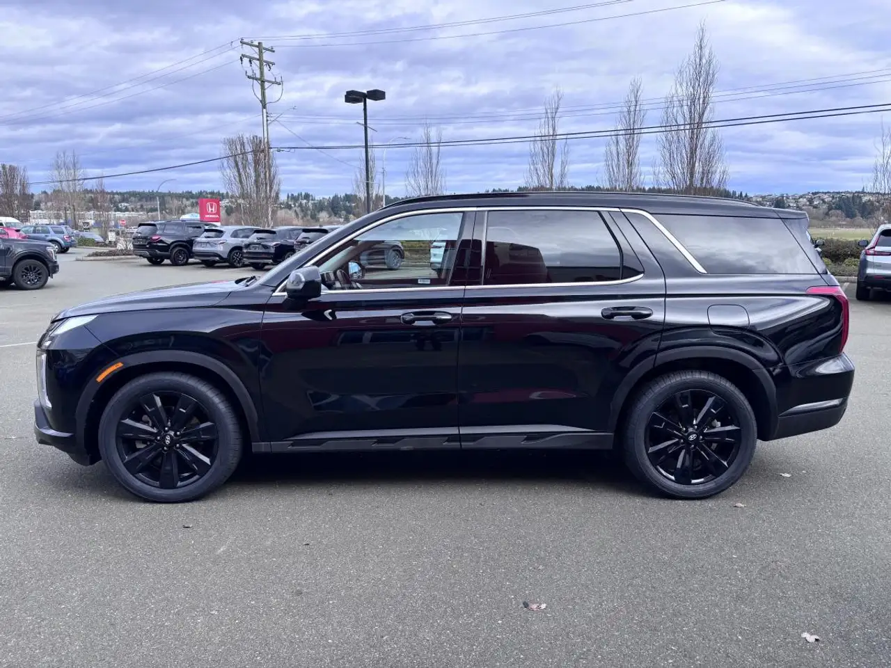 Hyundai PALISADE снимка Hyundai PALISADE