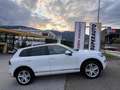 Volkswagen Touareg Touareg II 2010 3.0 V6 tdi Executive 204cv tiptron Wit - thumbnail 1