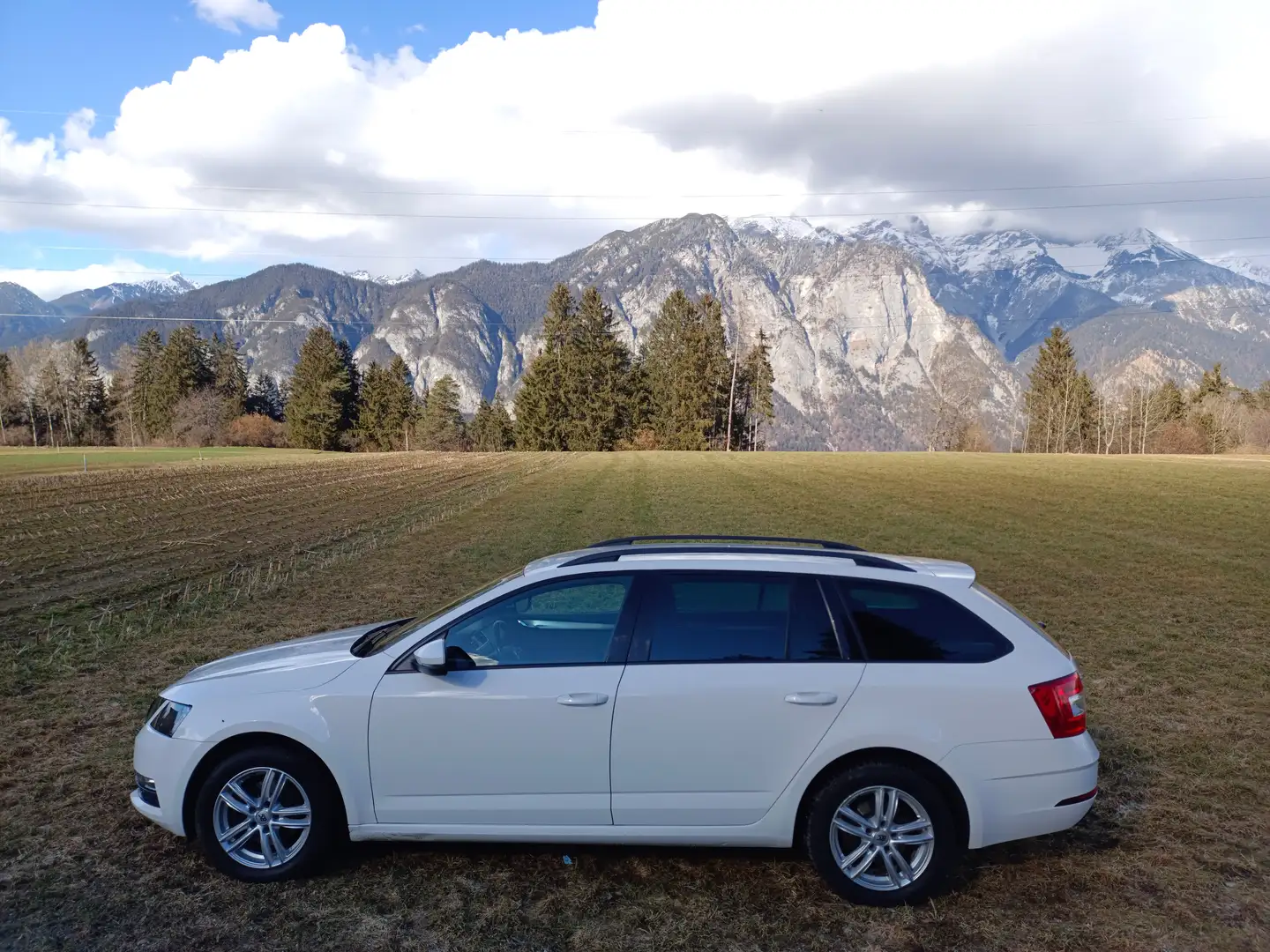 Skoda Octavia Combi 1,6 Ambition Limited TDI 4x4 Weiß - 2