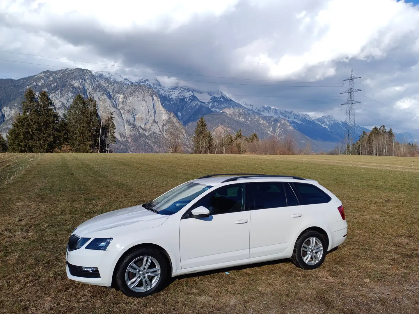 Skoda Octavia Combi 1,6 Ambition Limited TDI 4x4 Weiß - 1