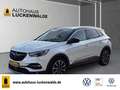 Opel Grandland X 1.6 Turbo Hybrid Ultimate Aut. *AHK* Weiß - thumbnail 1