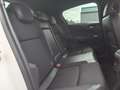 Citroen DS4 1.6 HDi /BiXenon/Totwinkel/Navi/Temp/Massage Weiß - thumbnail 22
