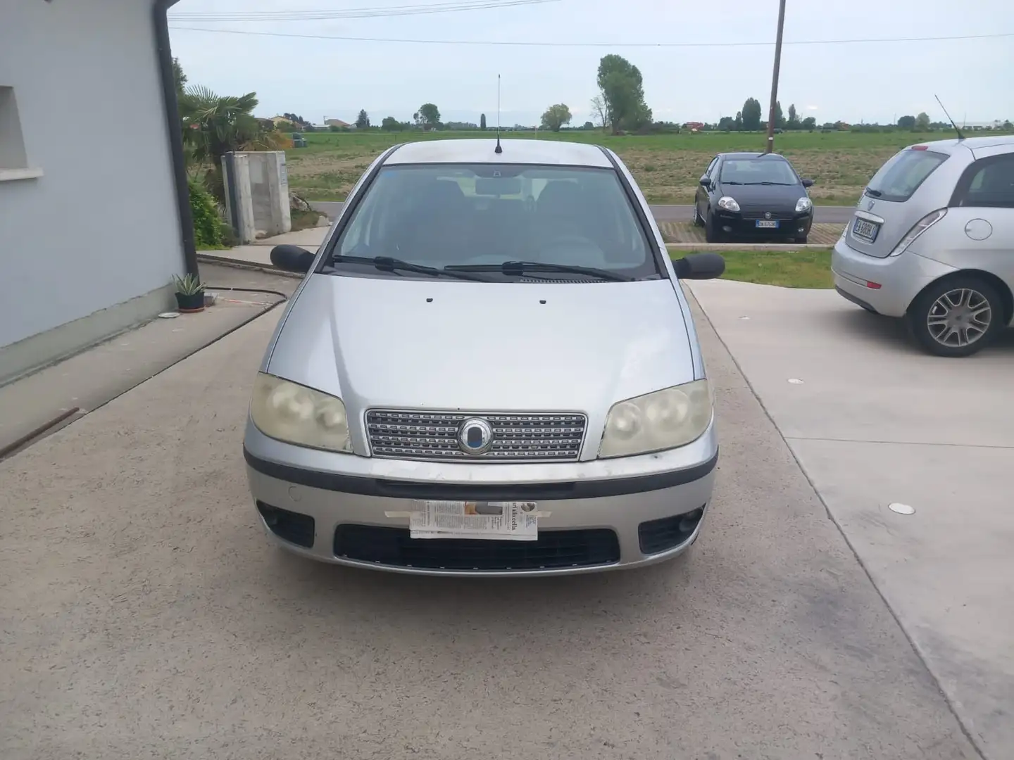 Fiat Punto 5p 1.2 natural power Classic - 1