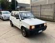 Fiat Panda 0.9 Young *UNIPROPRIETARIO* Blanc - thumbnail 1
