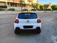 Citroen C3 C3 PureTech 83 S&S Shine Bianco - thumbnail 5