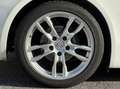 Porsche Boxster 981 2.7 265 PDK Blanc - thumbnail 37