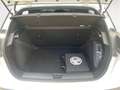 MG MG4 Standard 125 kW  Android Auto Apple CarPlay Klima Weiß - thumbnail 12