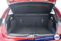 Ford Focus Cool & Connect #Spurhalte-A. #Park-Assist. #Win... Red - thumbnail 11