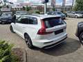 Volvo V60 B4 B DKG Plus Dark+BusinessPak+360°Kam Bianco - thumbnail 2