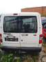 Ford Transit Connect Tourneo (Lang) Wit - thumbnail 2