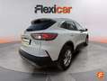 Ford Kuga 1.5 EcoBoost ST-Line FWD 150 Blanco - thumbnail 8