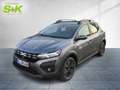 Dacia Sandero Stepway Expression TCe 90 CVT *GJR*USB* Grau - thumbnail 1