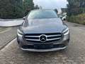 Mercedes-Benz B 220 B 220 d 4Matic PROGRESSIVE PANORAMA LEDER NAVI Grau - thumbnail 2