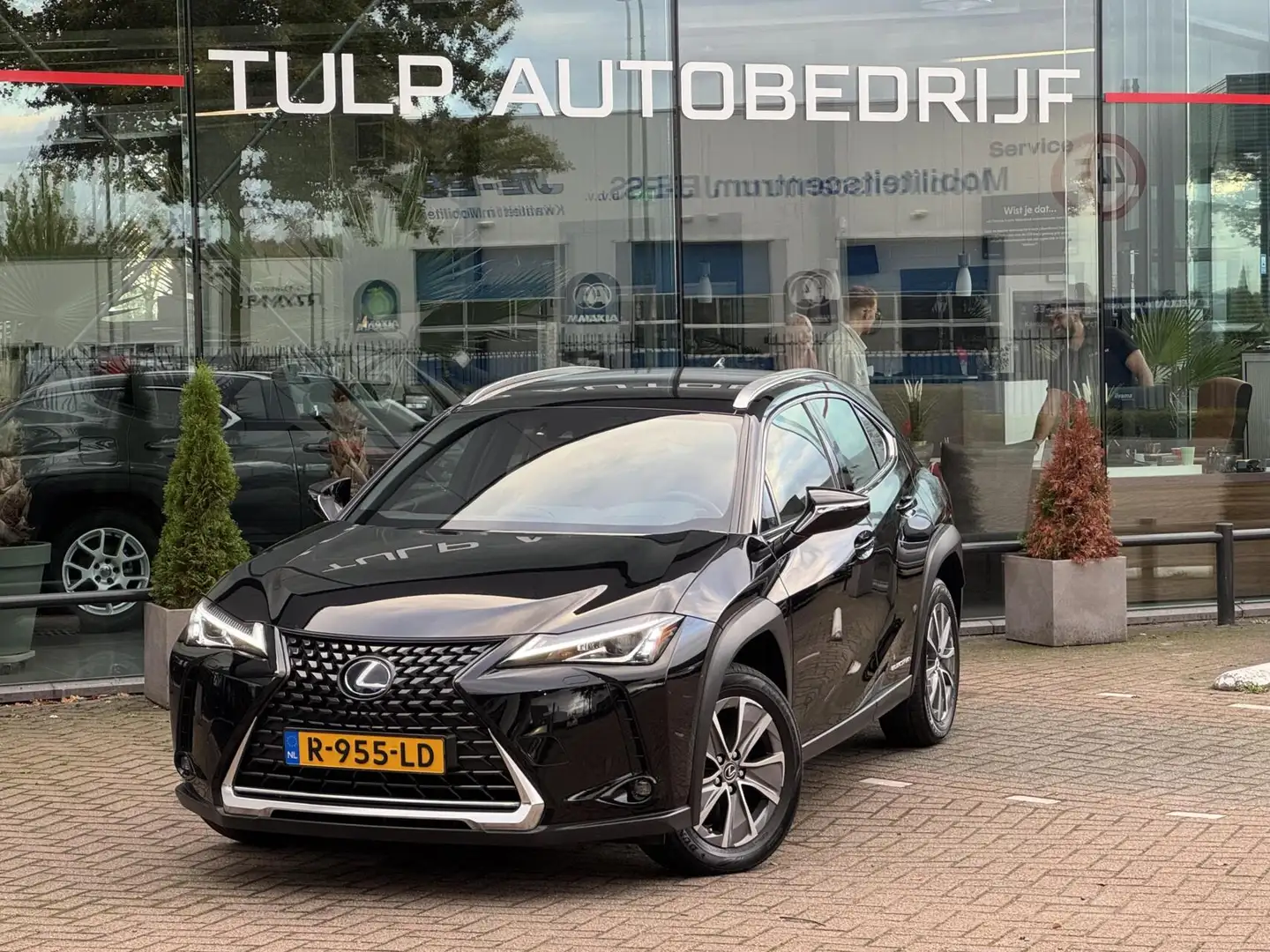Lexus UX 300e Business 54 kWh 2022 Leder NAvi 1e eigenaar Zwart - 2