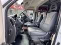 Fiat Ducato 2.O MULTIJET115 115CV TVA DEDUCTIBLE FAIBLE KM Bianco - thumbnail 3