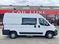 Fiat Ducato 2.O MULTIJET115 115CV TVA DEDUCTIBLE FAIBLE KM Bianco - thumbnail 14
