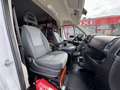 Fiat Ducato 2.O MULTIJET115 115CV TVA DEDUCTIBLE FAIBLE KM Bianco - thumbnail 12