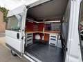 Fiat Ducato 2.O MULTIJET115 115CV TVA DEDUCTIBLE FAIBLE KM Bianco - thumbnail 13