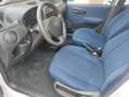 Fiat Punto 1.2i+8v+Primo Blanc - thumbnail 6