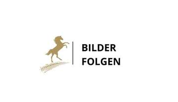 Kasten 290 L1 Navi Kamera DAB