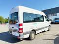 Mercedes-Benz Sprinter 311 CDI Sprinter  Automaat 9 zitplaats Wit - thumbnail 6