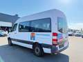 Mercedes-Benz Sprinter 311 CDI Sprinter  Automaat 9 zitplaats Wit - thumbnail 3
