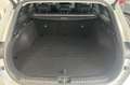 Kia Ceed SW / cee'd SW Sportswagon 1.5 T-GDi DynamicPlusLine AUTOMAAT | K Grijs - thumbnail 23